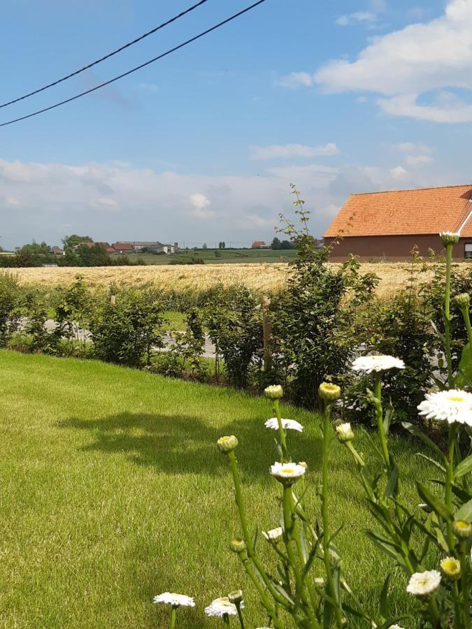 Vakantiehuis Zoetendaal Reningelst 외부 사진