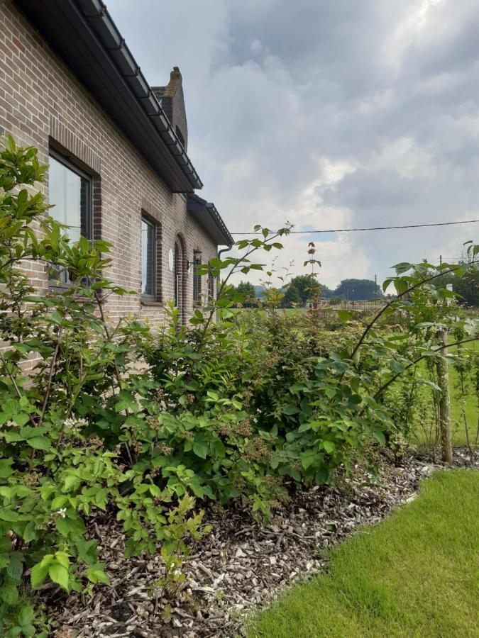 Vakantiehuis Zoetendaal Reningelst 외부 사진